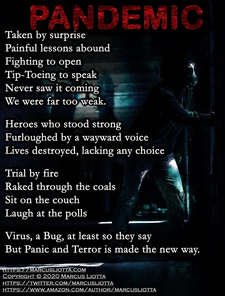 Pandemic_Poetry_20200524